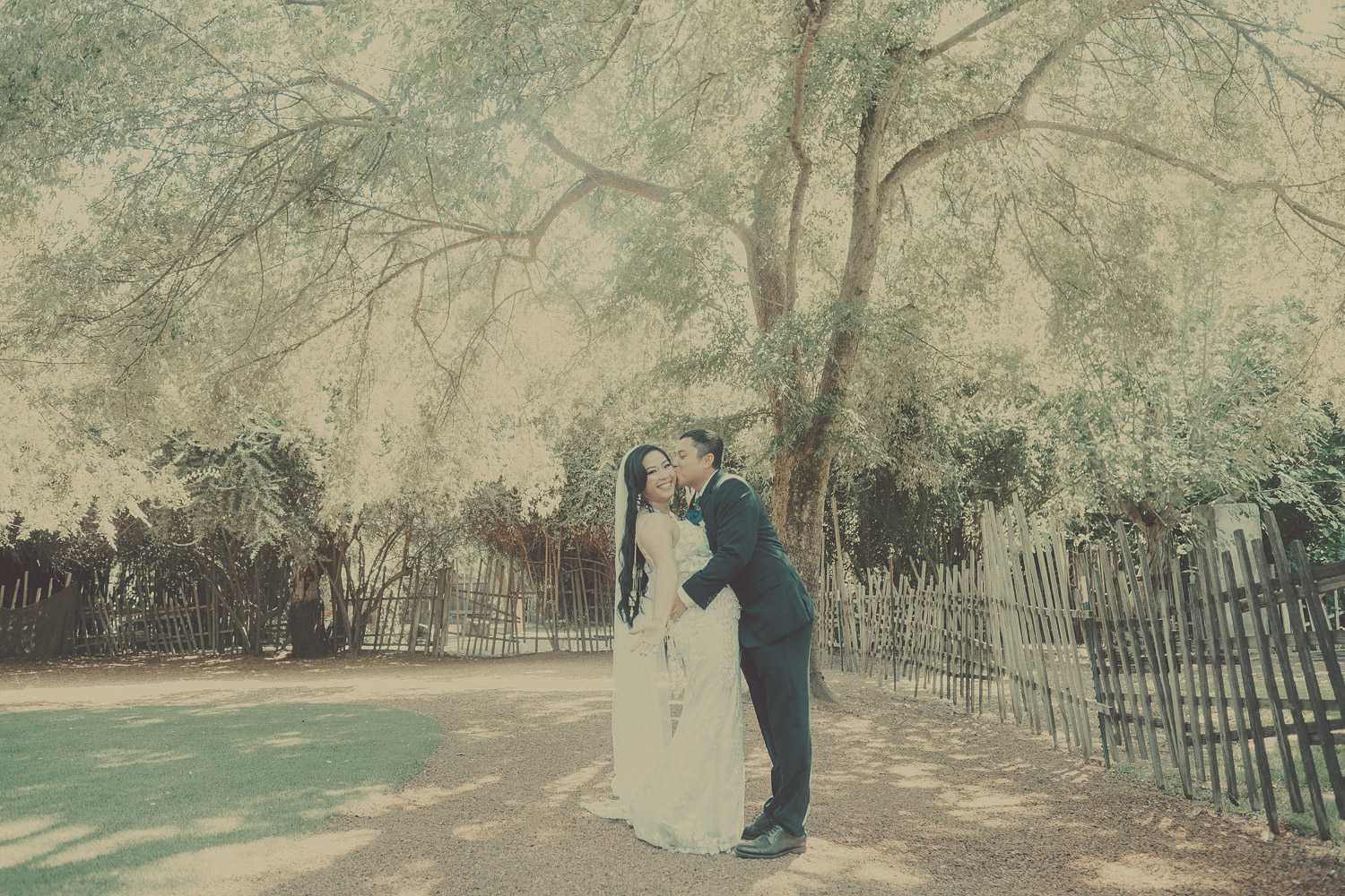 Mendocino California Wedding Elopement Photography