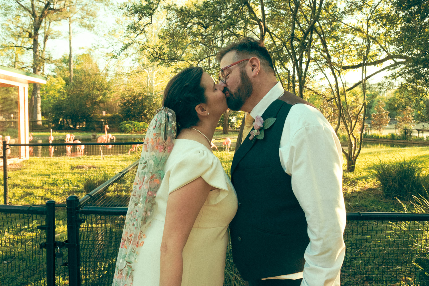 Birmingham Zoo Birmingham Alabama Wedding Elopement Photography