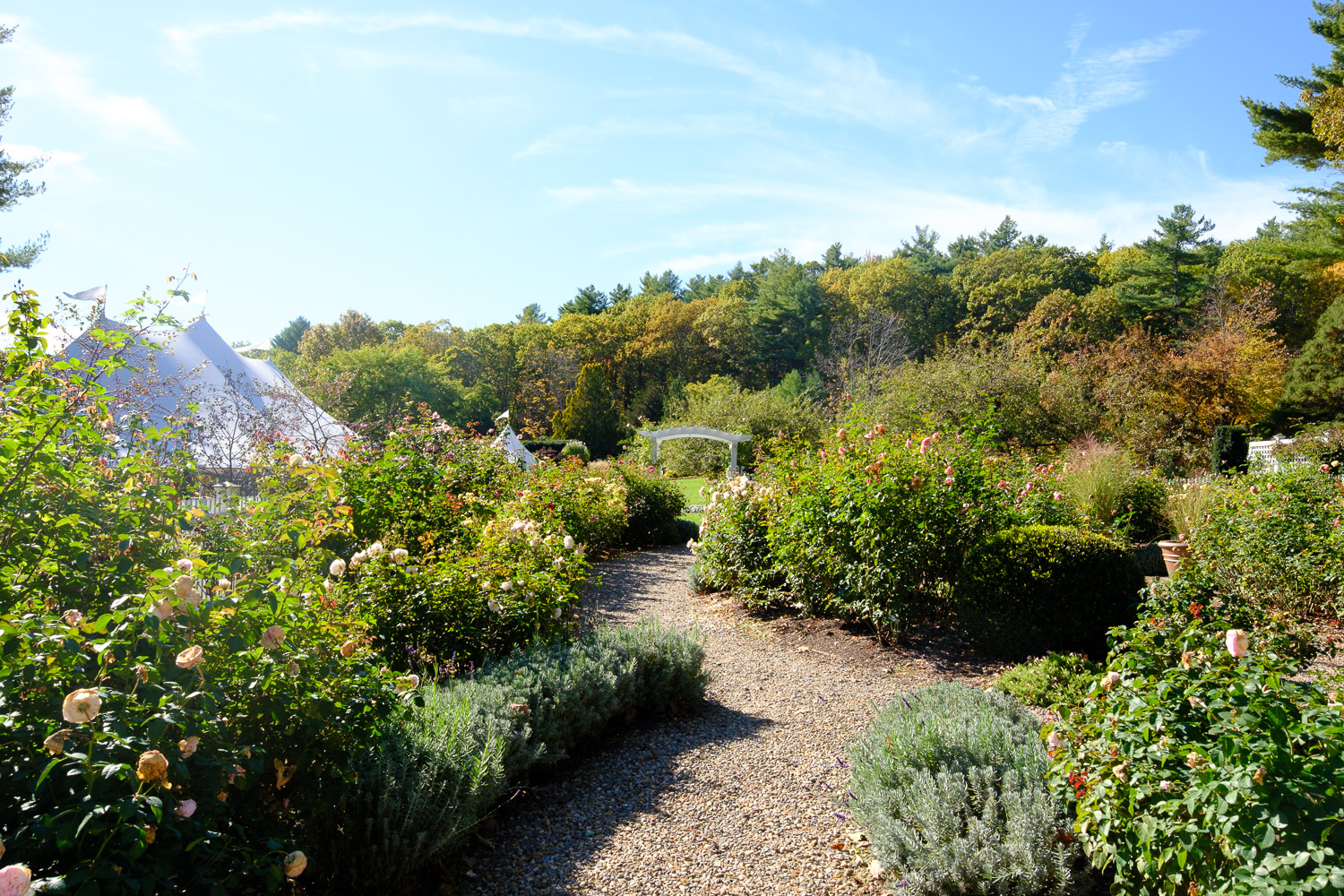Gardens at Uncanoonuc Mountain Goffstown New Hampshire Wedding Elopement Photography